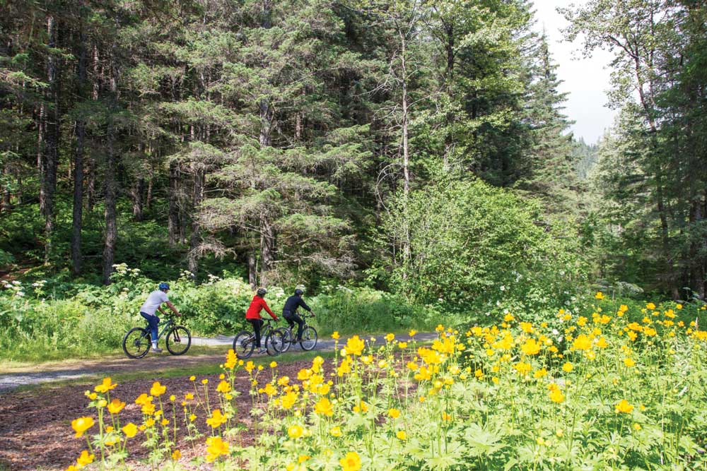 Two Lakes Trail in Waterfront Park on Resurrection Bay Two Lakes Trail in Waterfront Park on Resurrection Bay