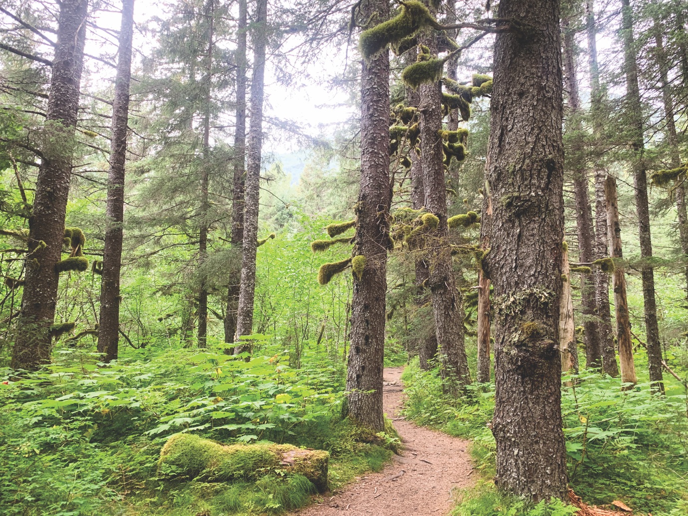 Caines Head Hike