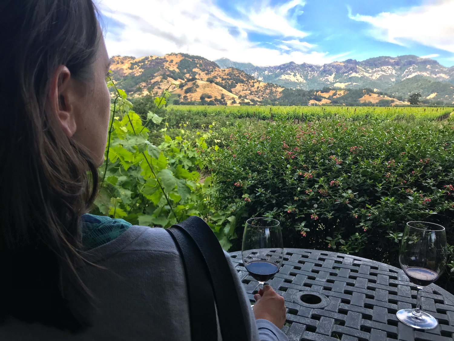 Napa Valley Vineyard View