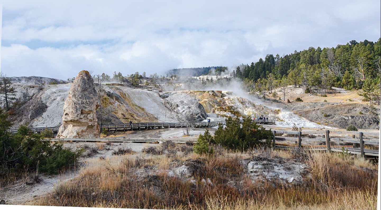 Mammoth Hot Spring