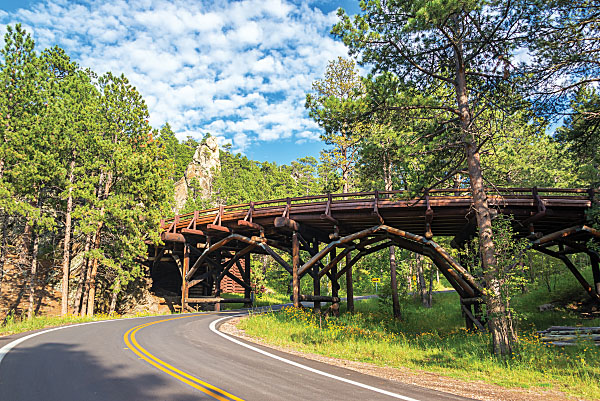 Bridge in Custer State Park