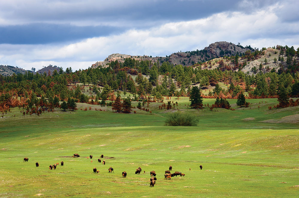 Black Hills