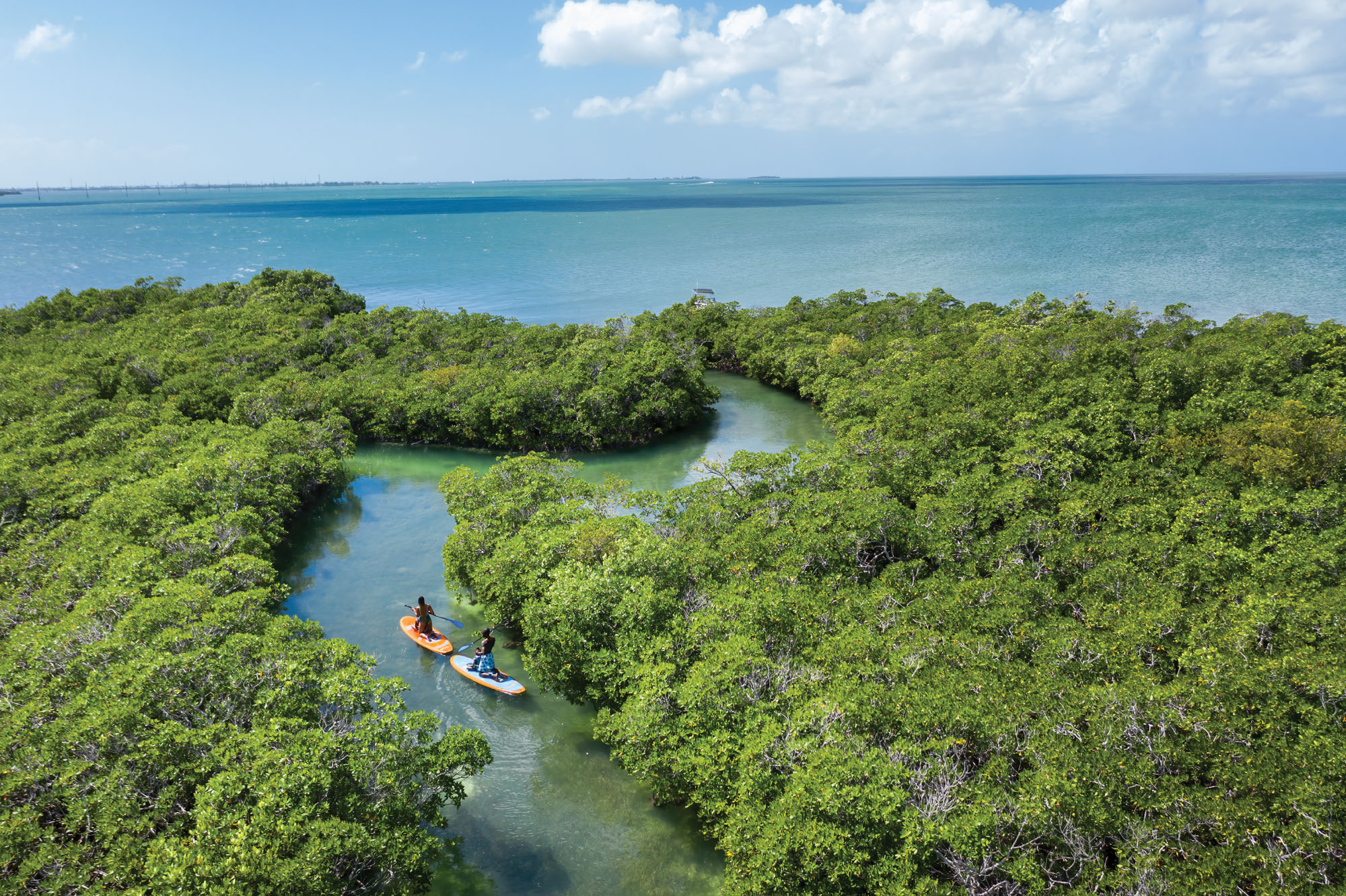 Florida Keys SUP