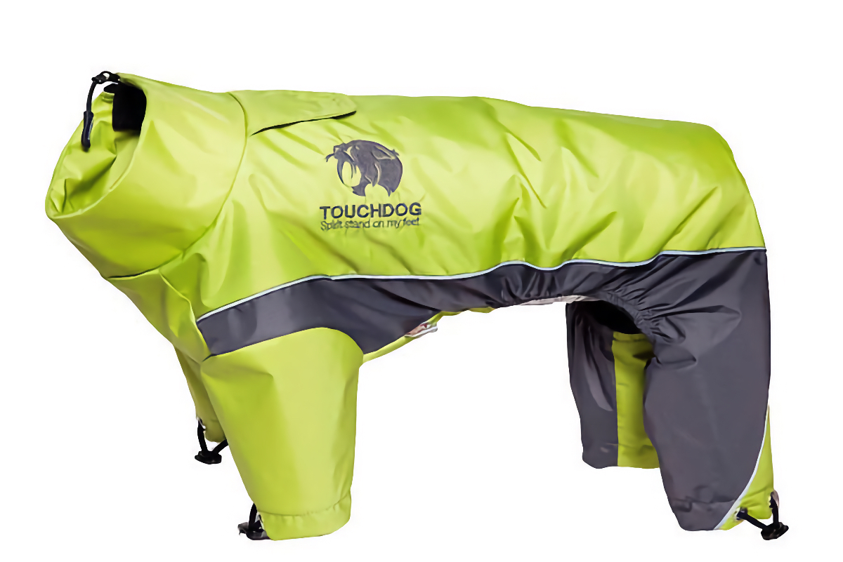 winter dog gear