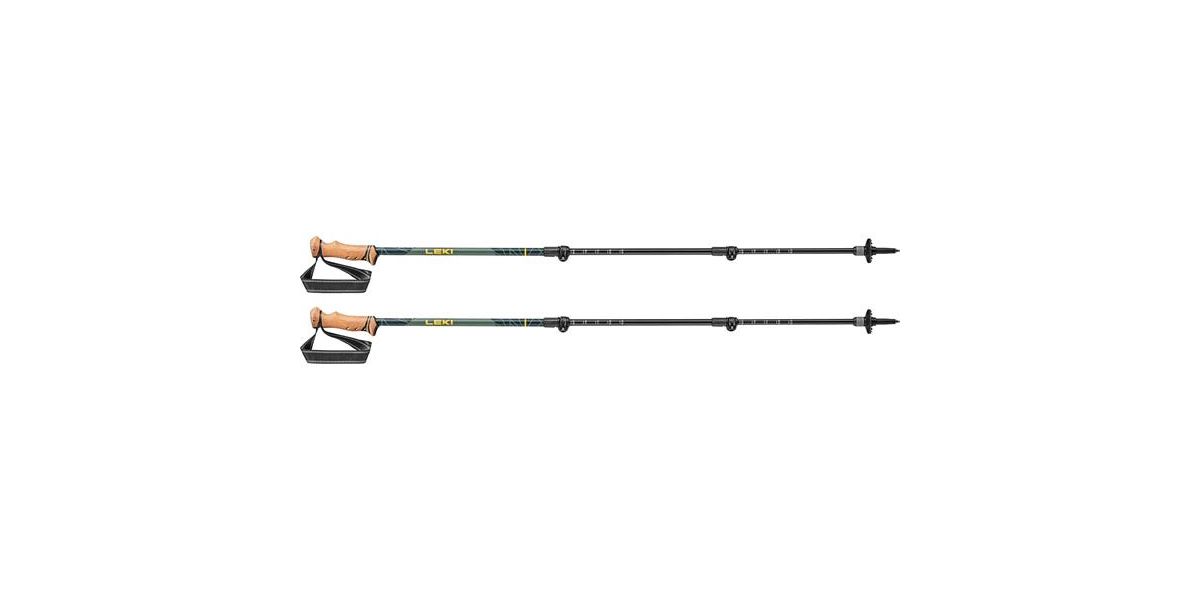 Best Trekking Poles