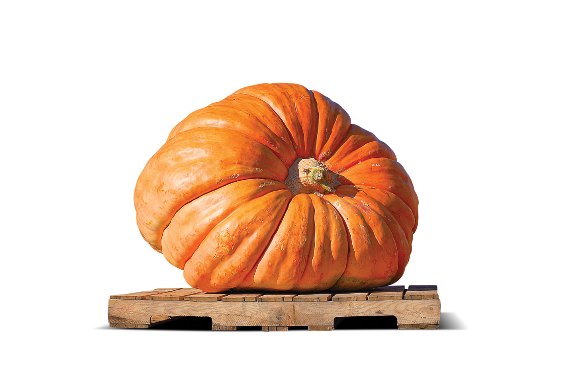 best fall festivals