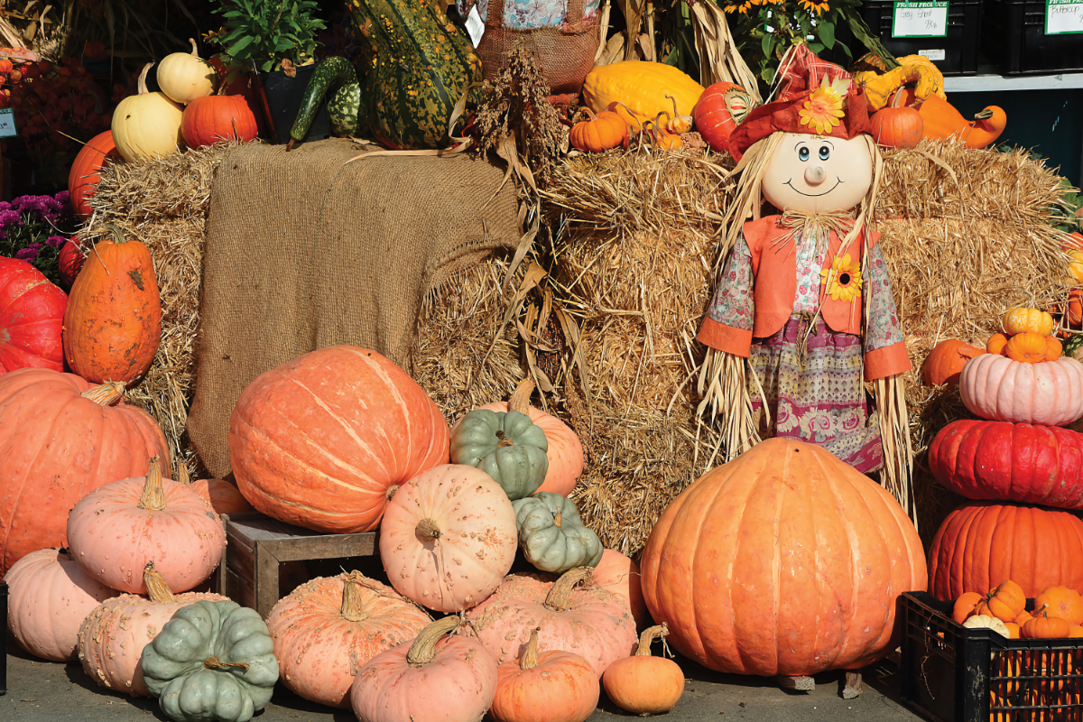 best fall festivals