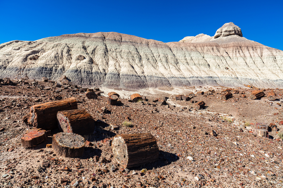 northern arizona travel