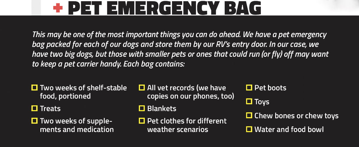 pet weather emergencies