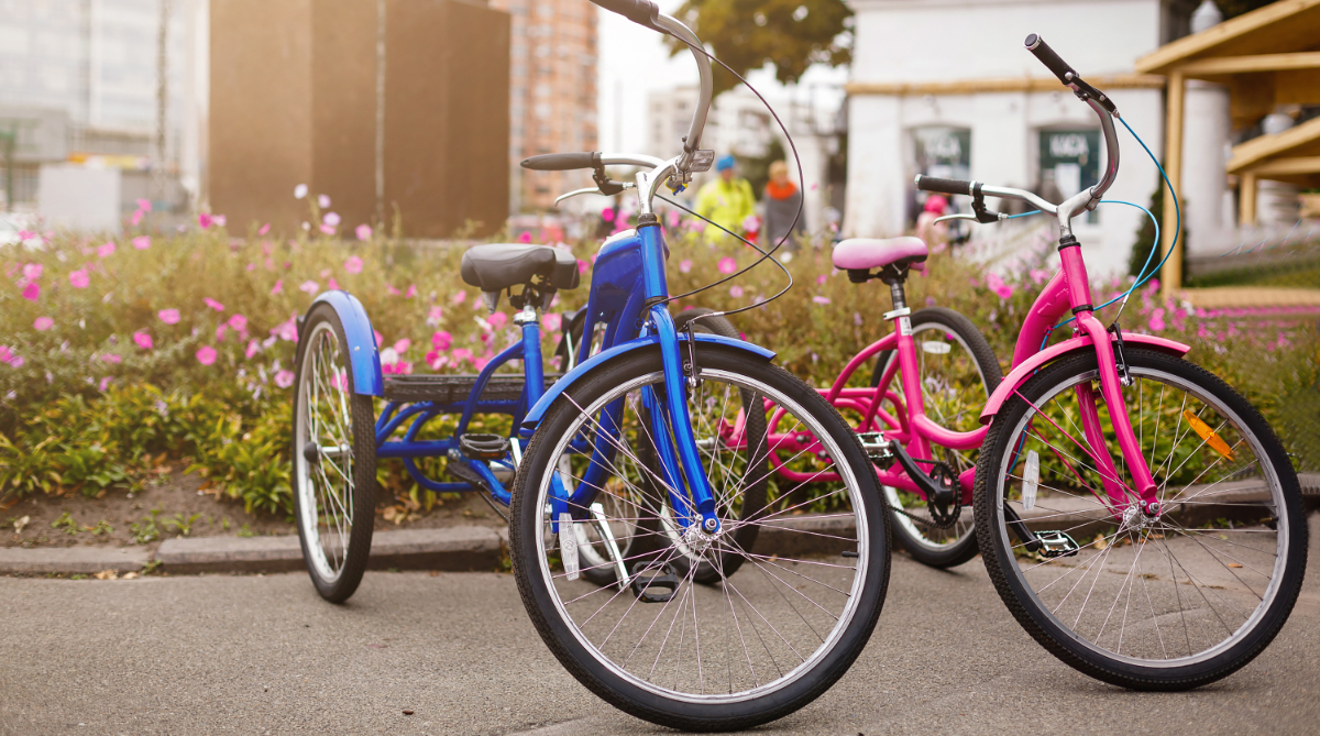 best adult tricycles