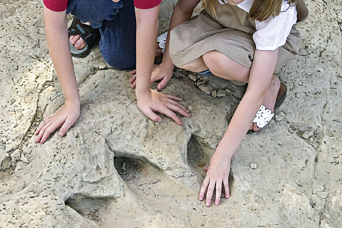 dinosaur museums