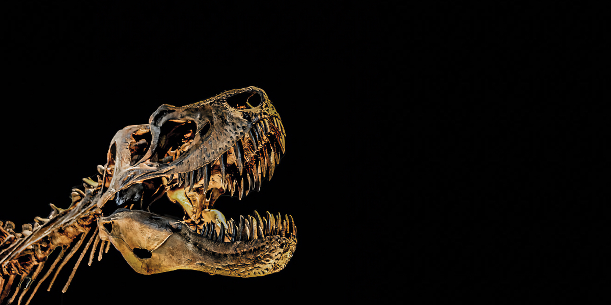 dinosaur museums