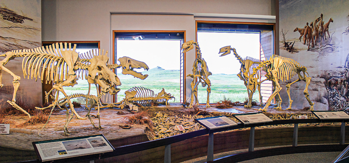 dinosaur museums