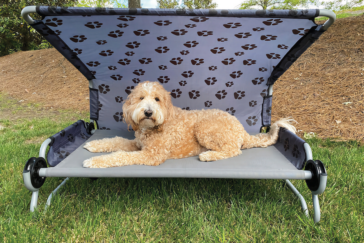 Full-Time RVing with Dogs