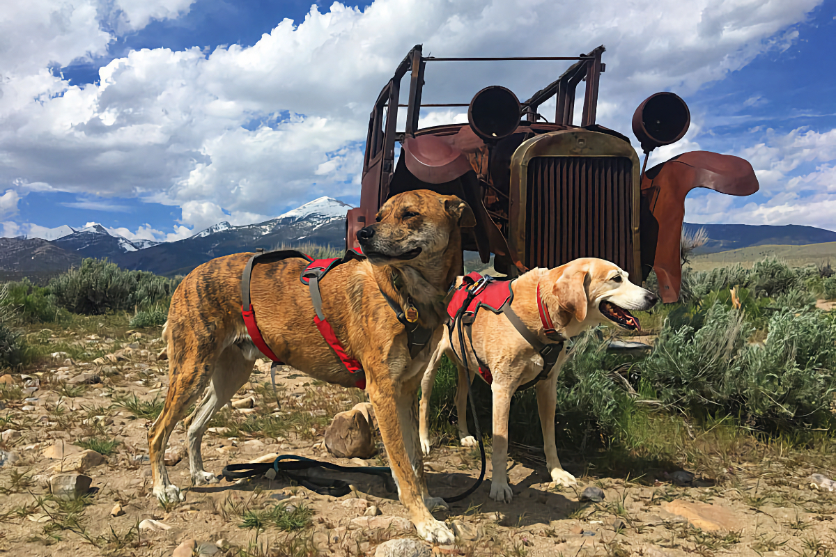 Great Basin National Park