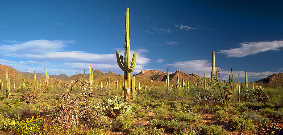 Arizona road trip