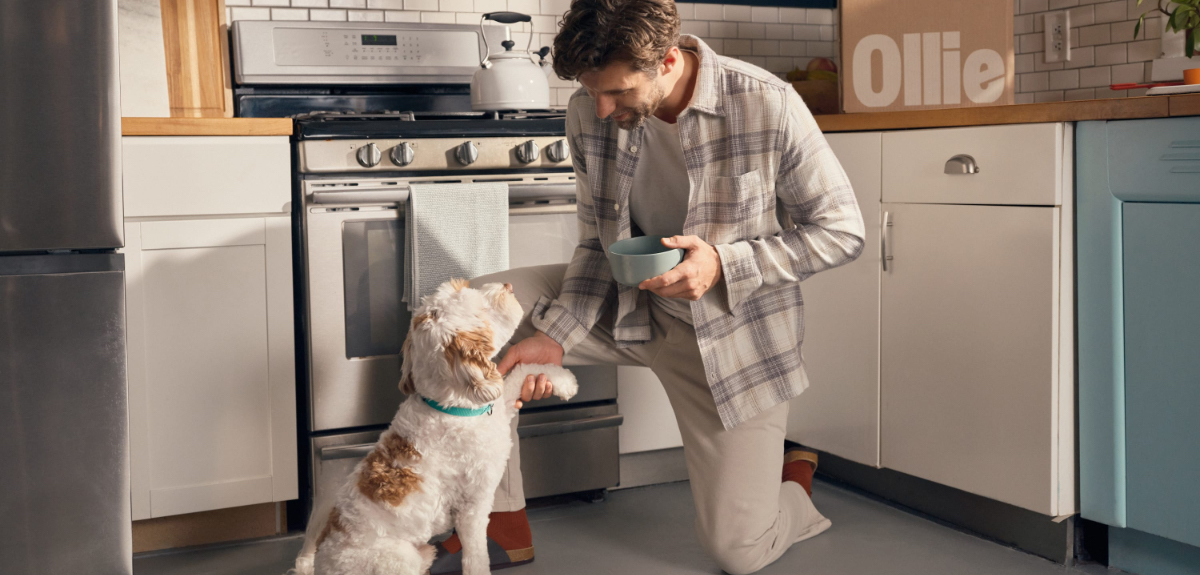 Ollie dog food