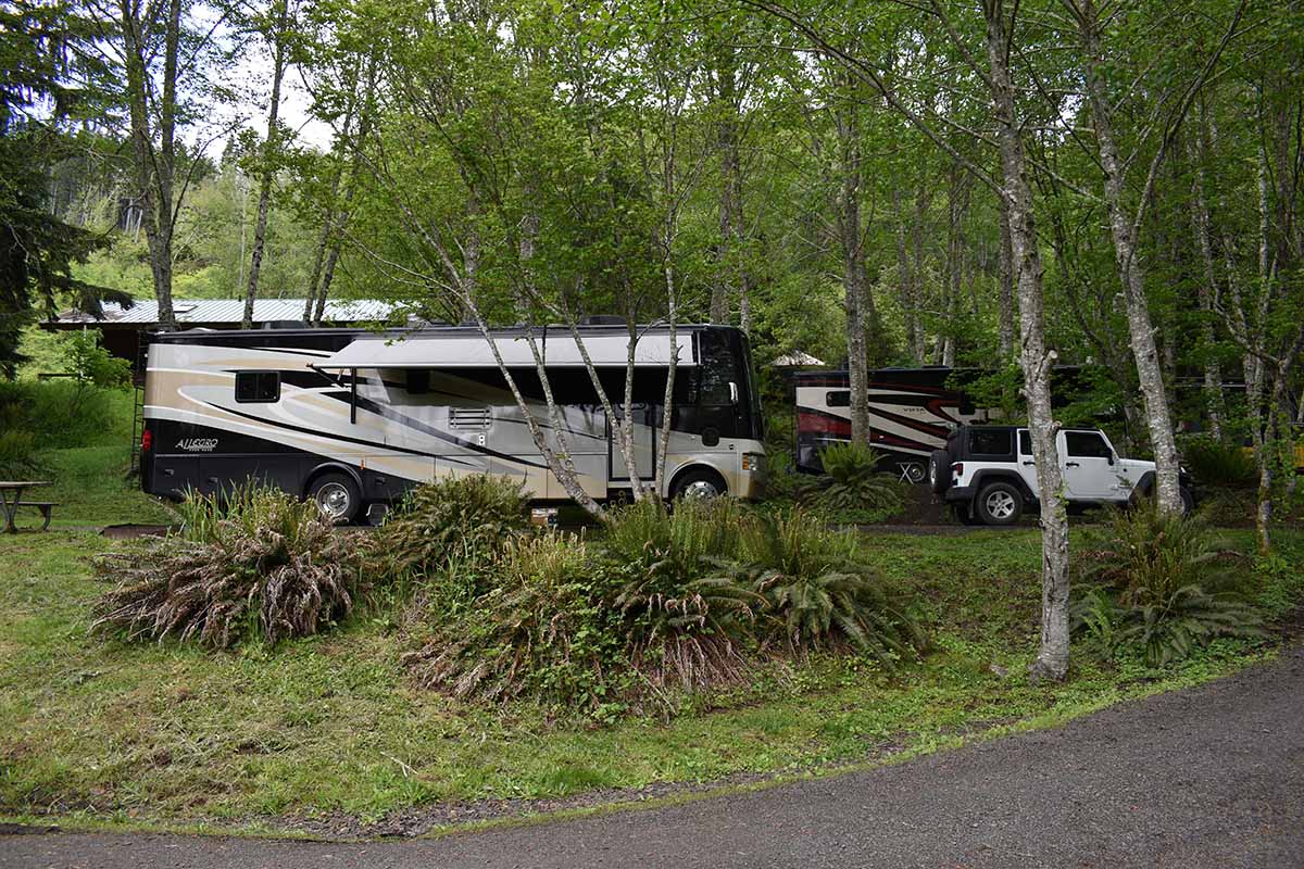 RVs parked in lush forest environment.