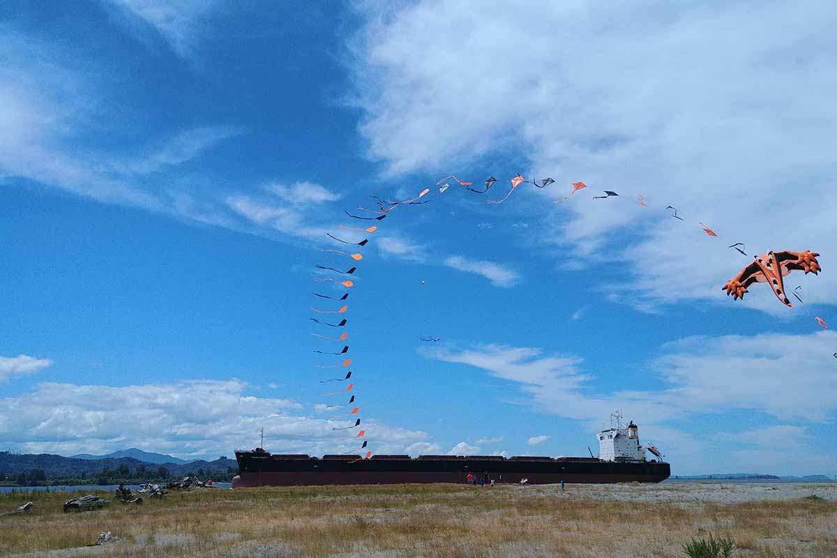 Kite flying against blue sky with ship in background.