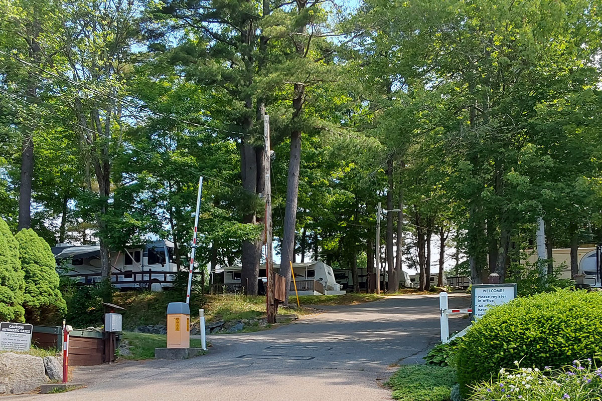 RVs parked under shady trees.